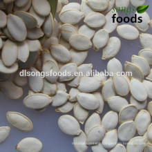 Wholesale Pumpkin Seeds for Usa White Crop Tops wholesale